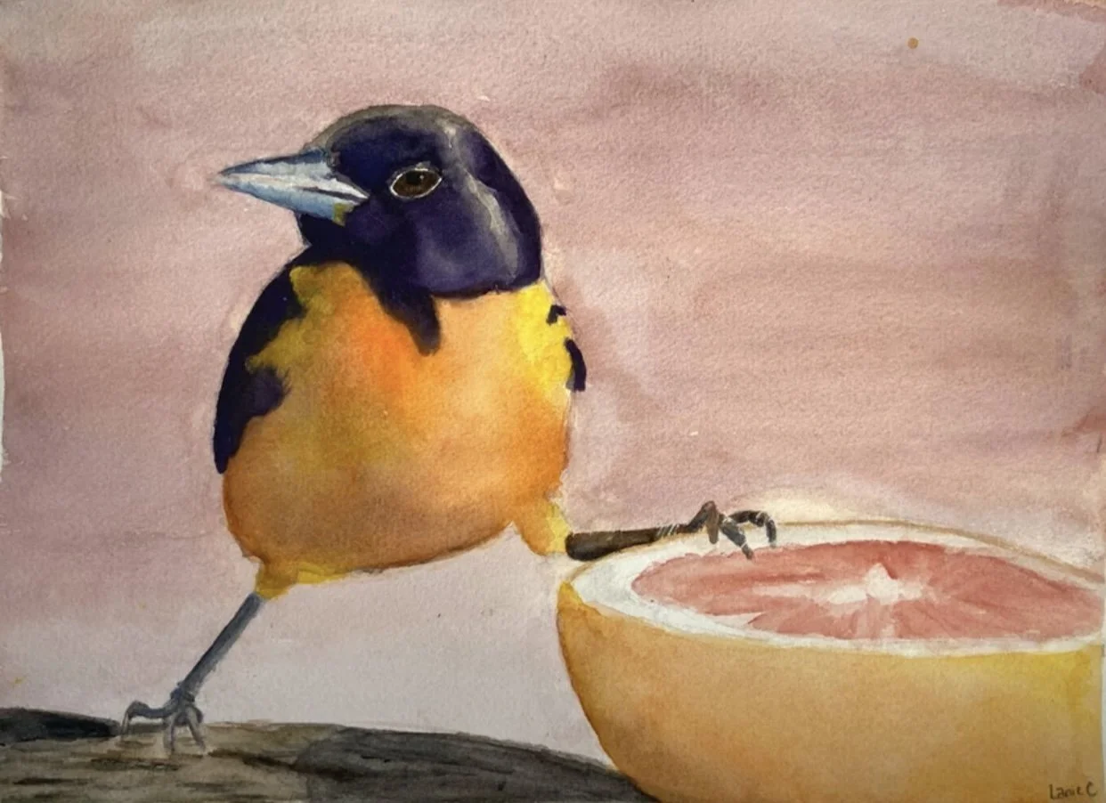 Lanie Collims “Bird with Grapefruit”