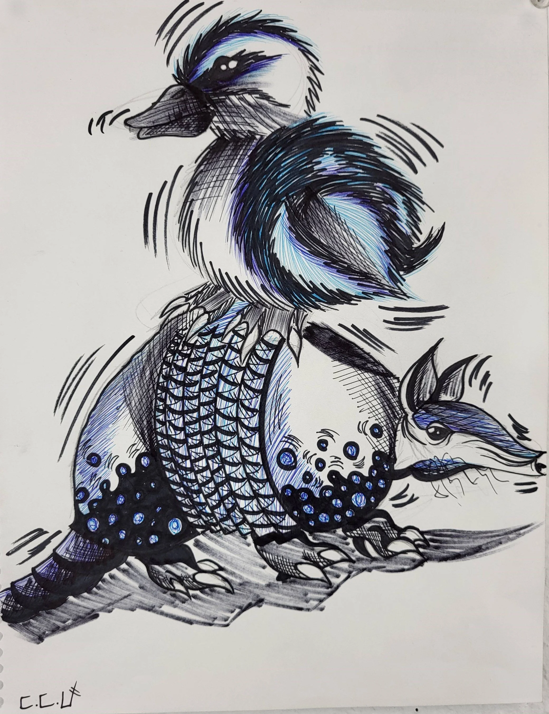 Chauncey Upshaw “Duck on Armadillo”, Bradshaw Mountain High School