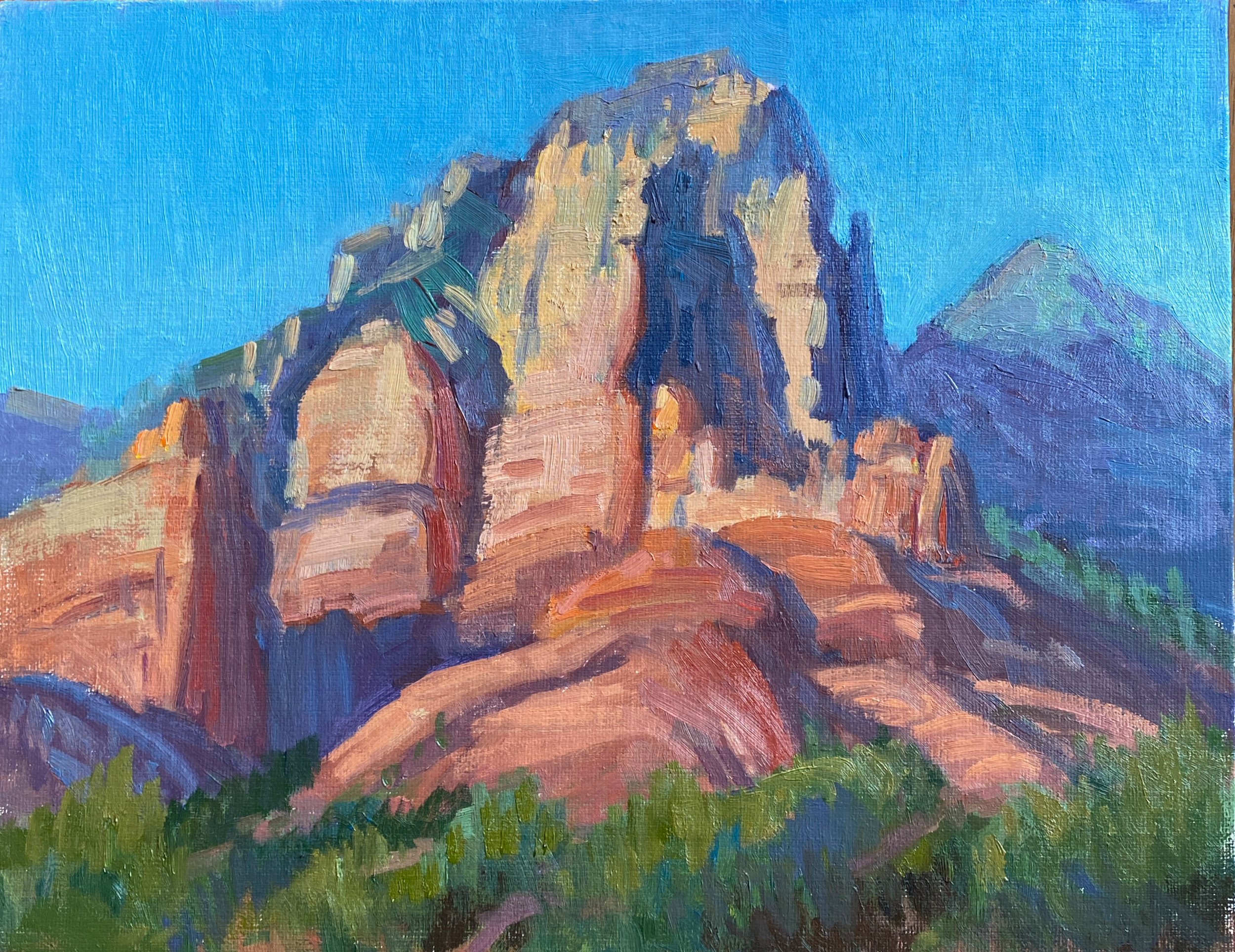 Carol Benally "Shadow and Light"