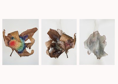 Best of Show 3D (Scholarship), Vy Cao “Instead of White”, Orme School