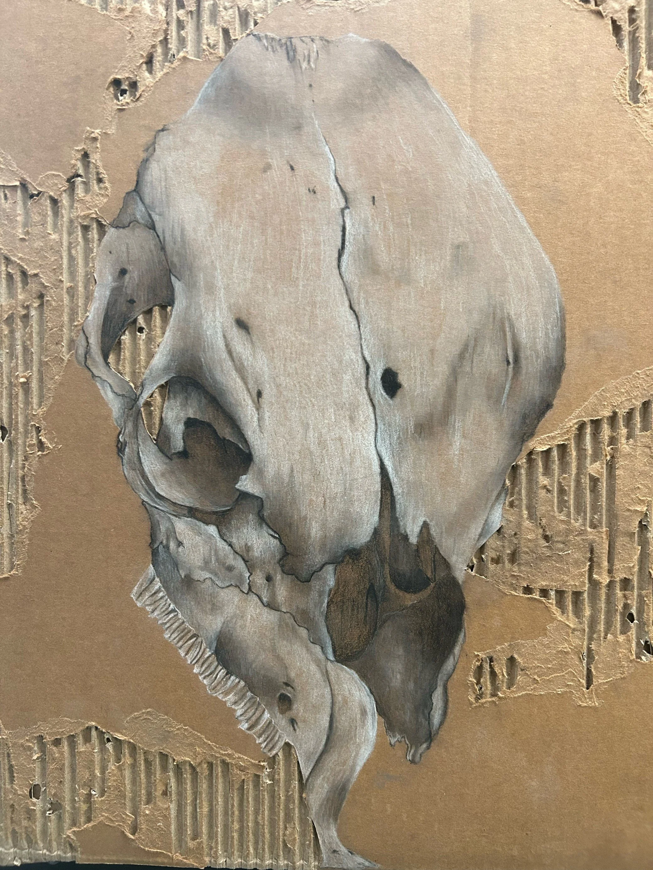 Juniper O'Reilly “Distressed Skull”, Prescott High School