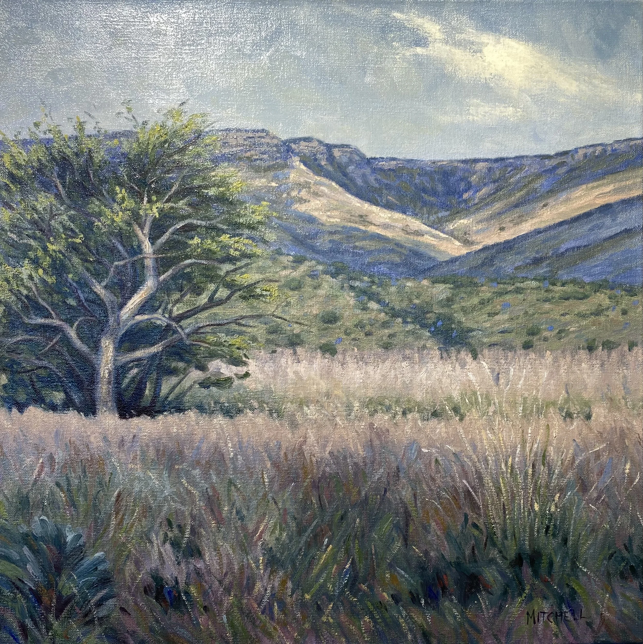 Margo Mitchell “Mingus Meadows”