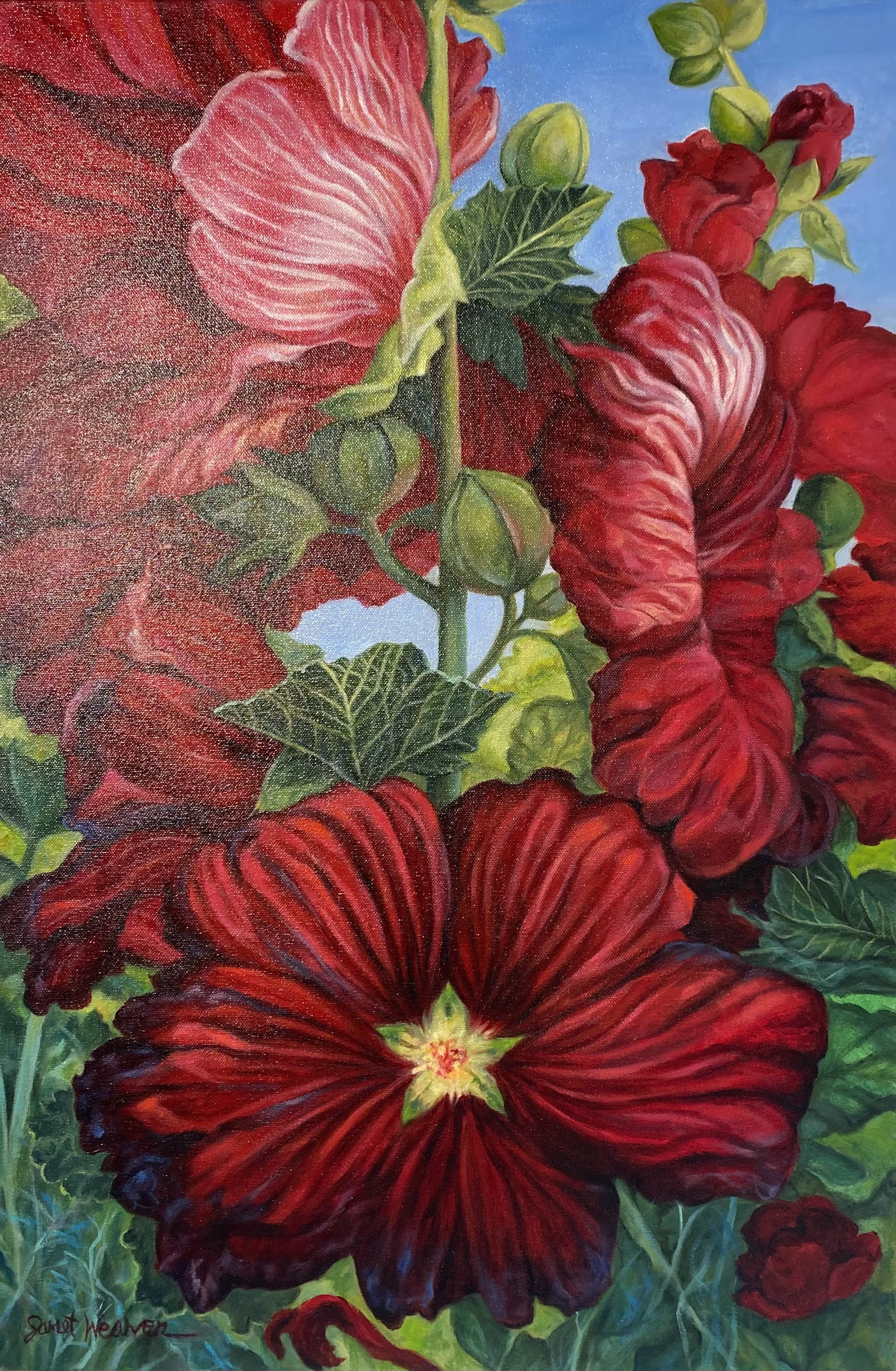 Janet Weaver “Magenta Hollyhocks”