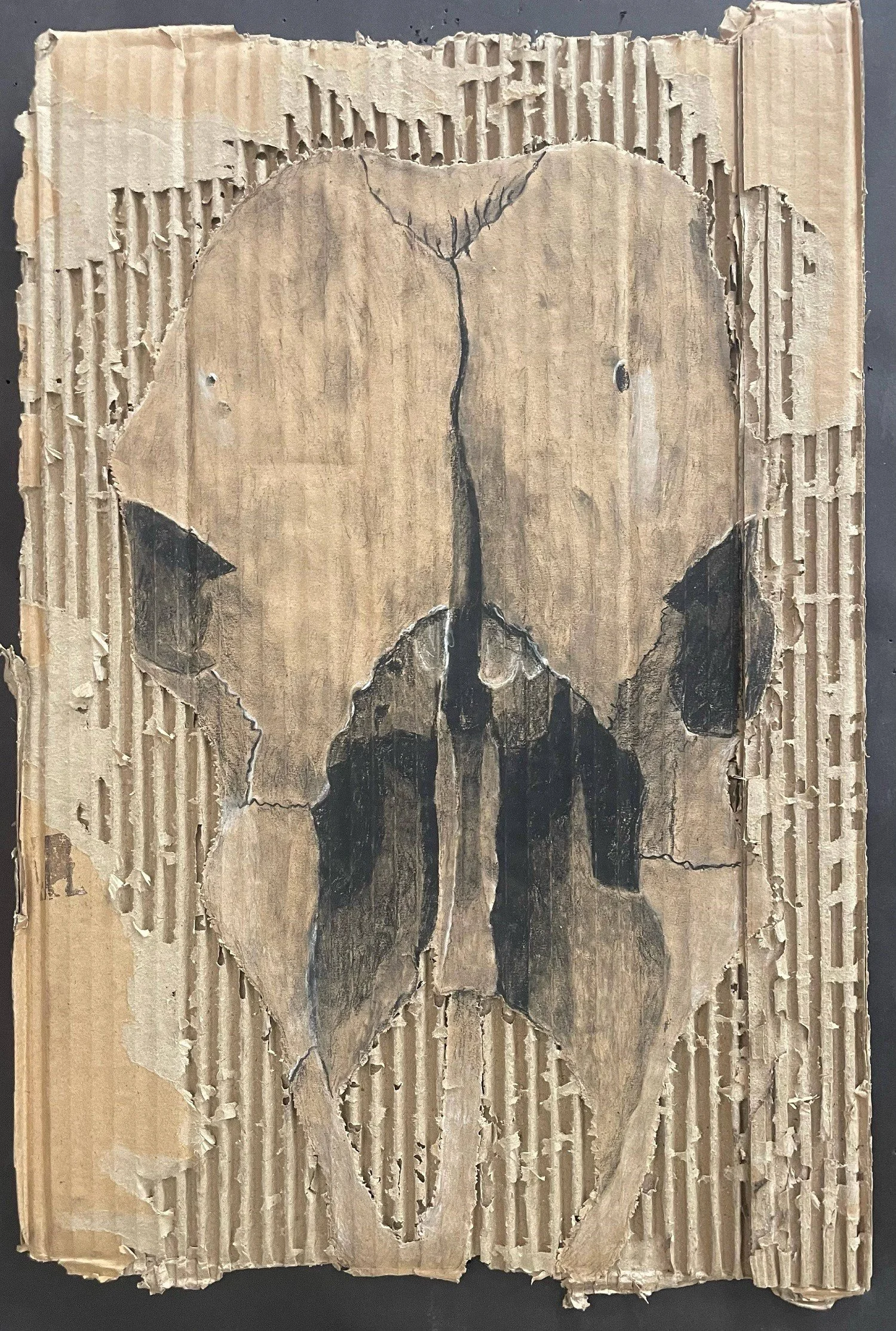 Blake Deakin “Lost”, Prescott High School