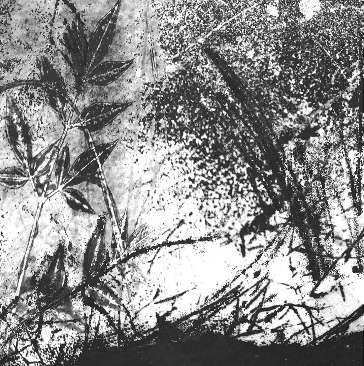 Leslie Parsons "Not a Healthy Garden"