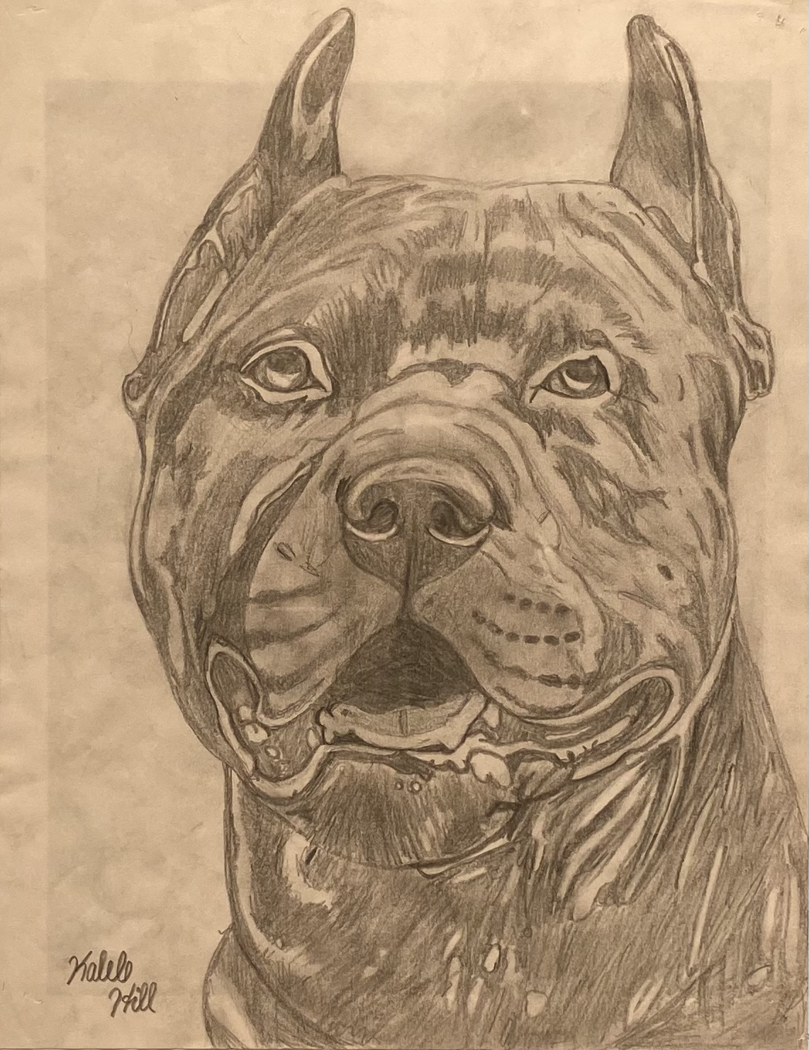 Kaleb Hill “Rocco”