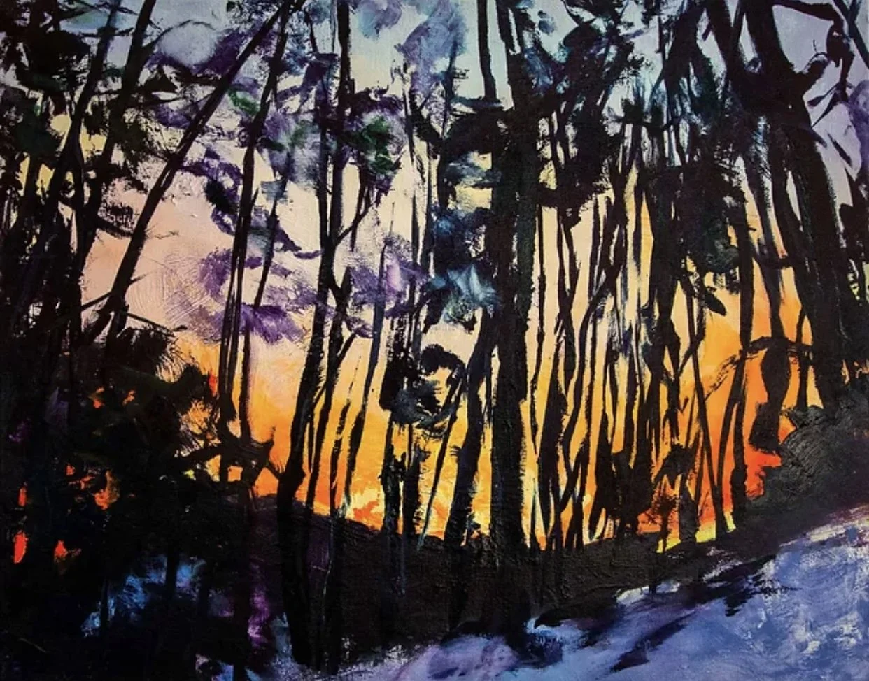 Dana Cohn “Goldwater”