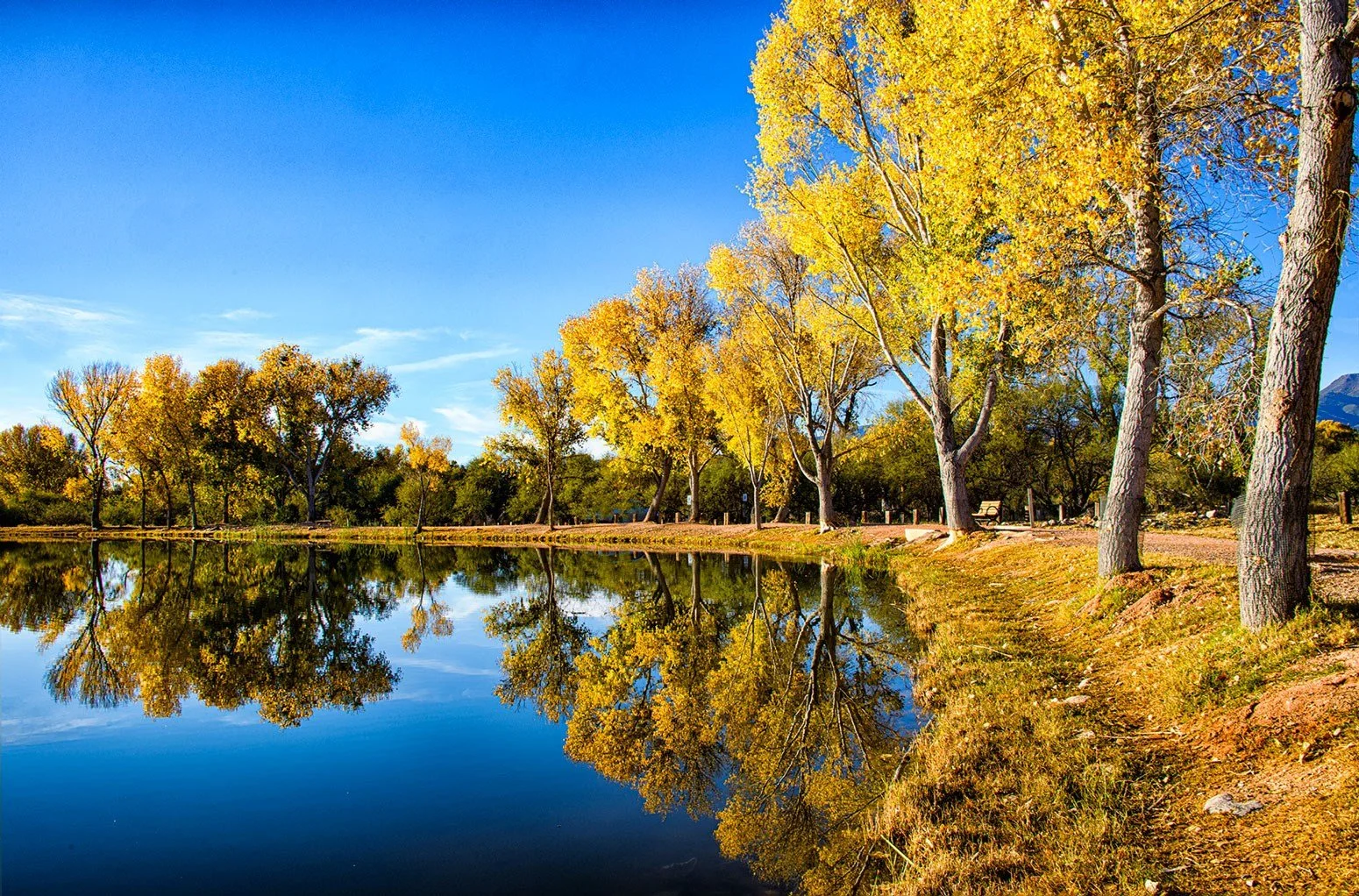 Gilbert Pogany “Fall at Dead Horse Ranch Park”