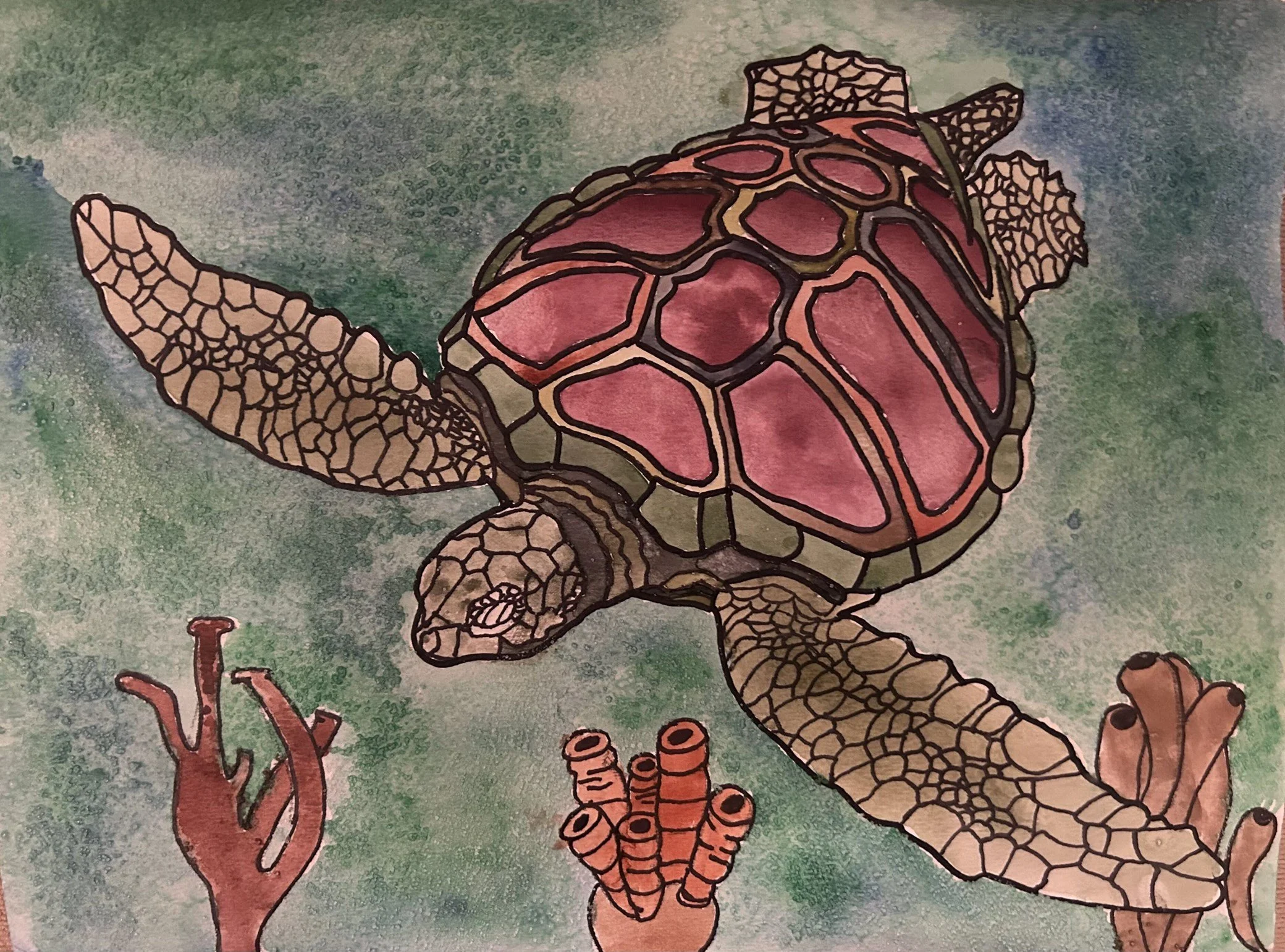 MichaelaCampbell “Sea Turtle”, Prescott High School