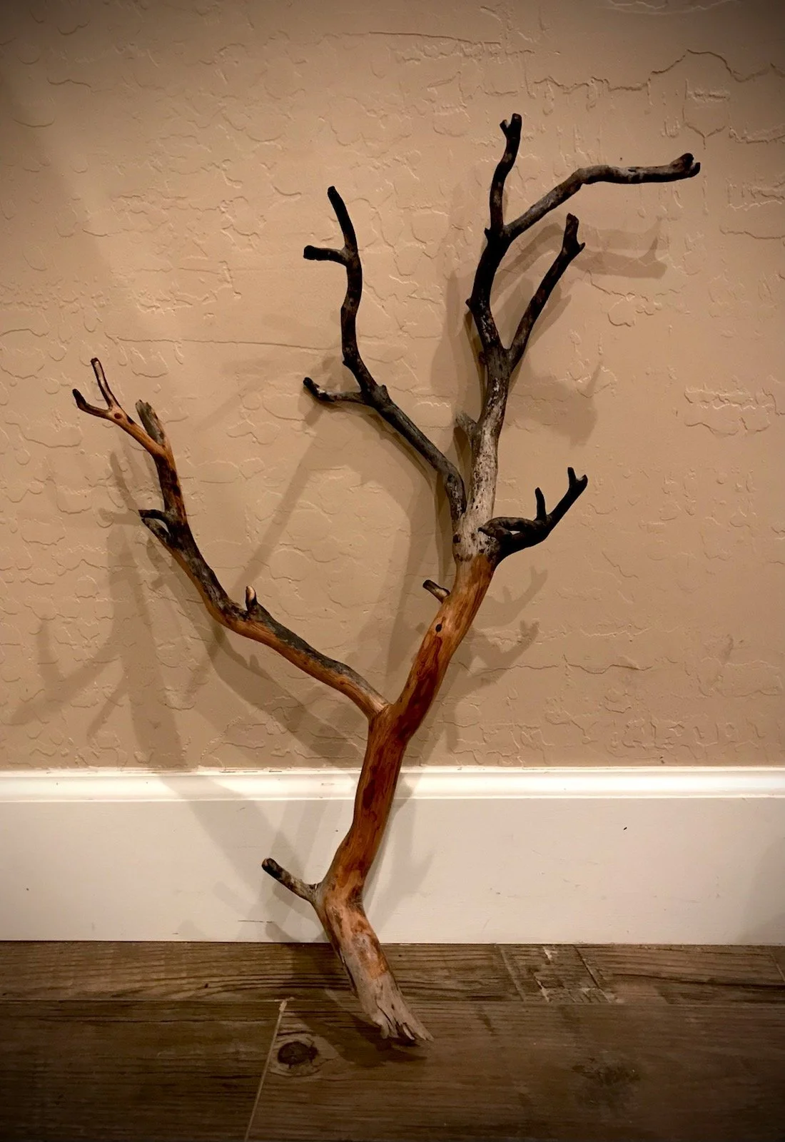 Jami Conroy "Under the Fire"