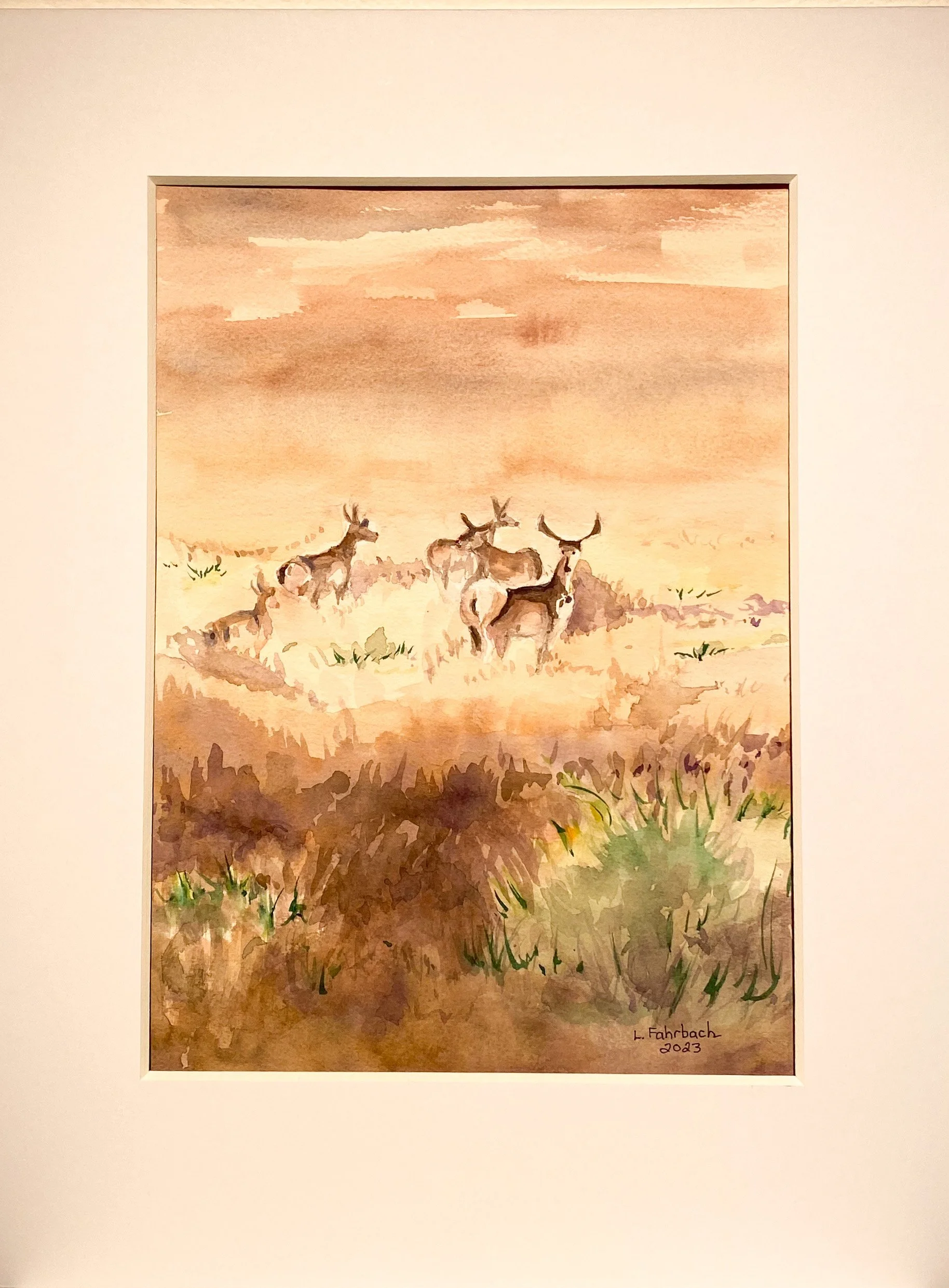 Lucy Fahrbach “Pronghorn on Bike Ride”