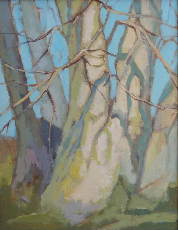 Beth Okurowski "Sycamore Dawn"