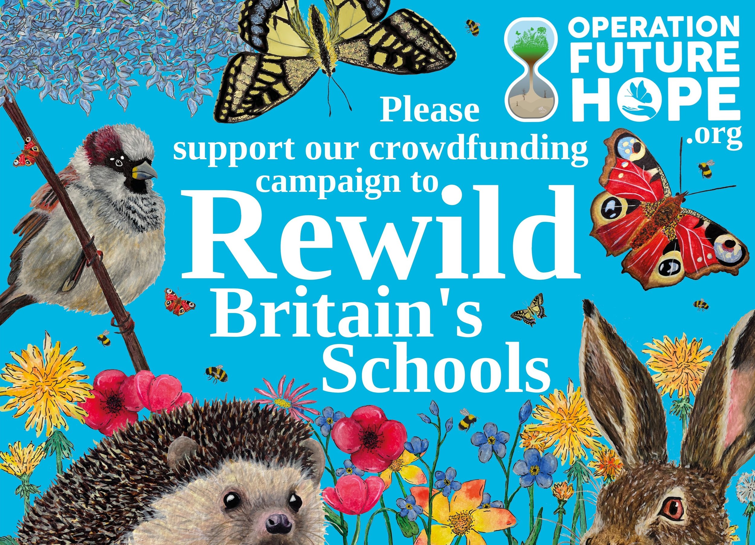 Crowdfunder Campaign to Rewild Britain’s Schools.
