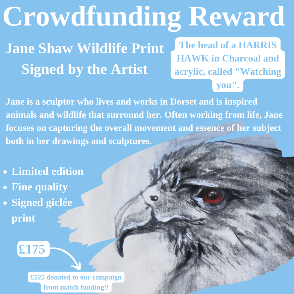 Pick Up A Fantastic Reward!