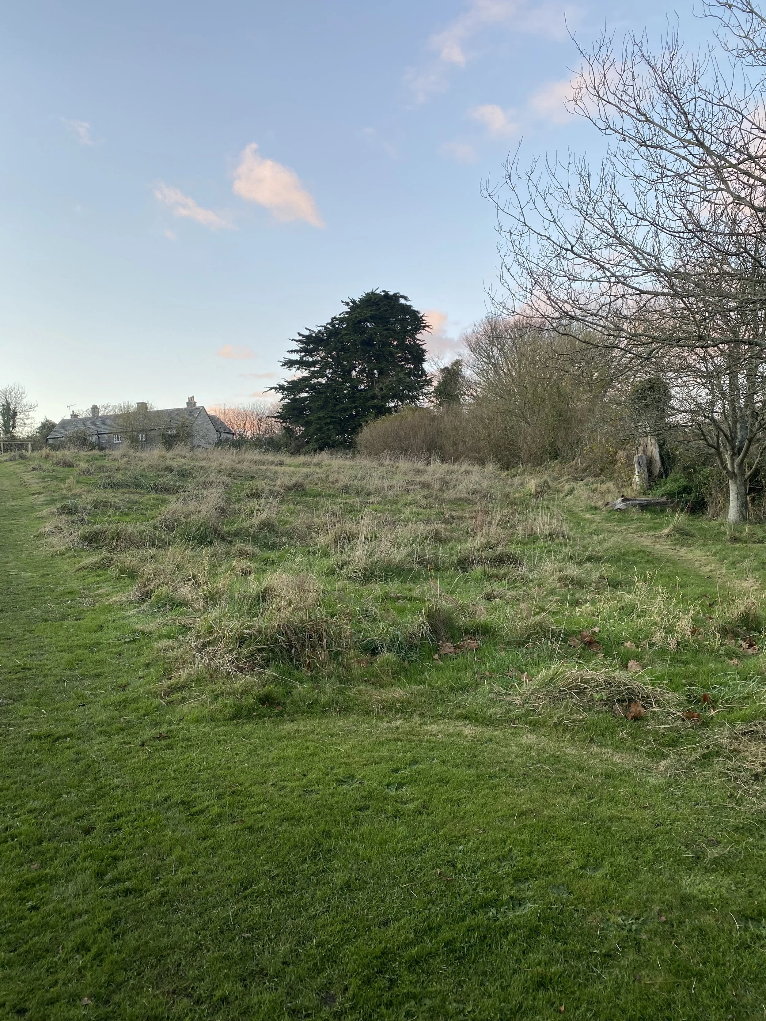 Corfe Castle CE VC Primary School Join the Conservation School Award