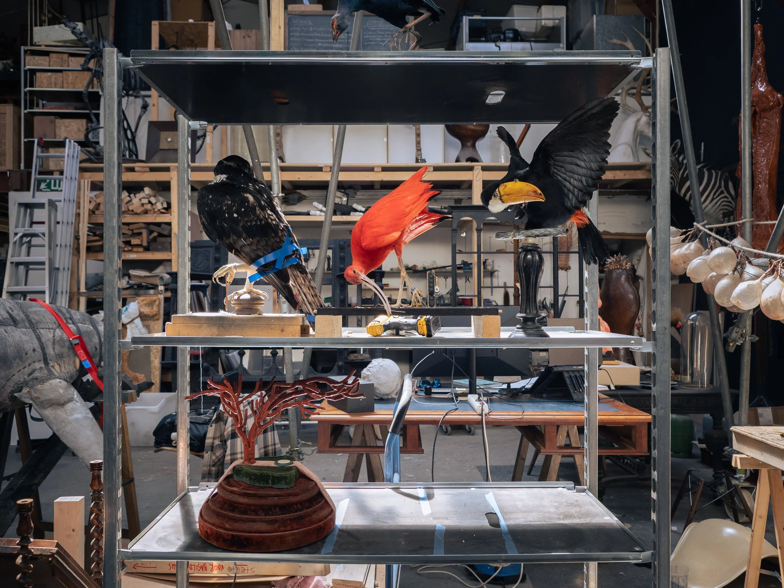 Zoo Museum-10.jpg