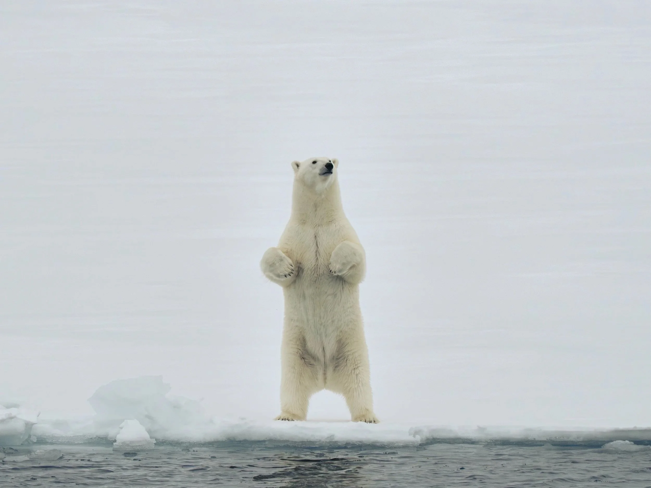 Geographic North Pole photography, North Pole photography, Arctic Ocean photography, Svalbard photography, Spitsbergen photography, Arctic Circle photography, 90 degrees North, polar expedition photography