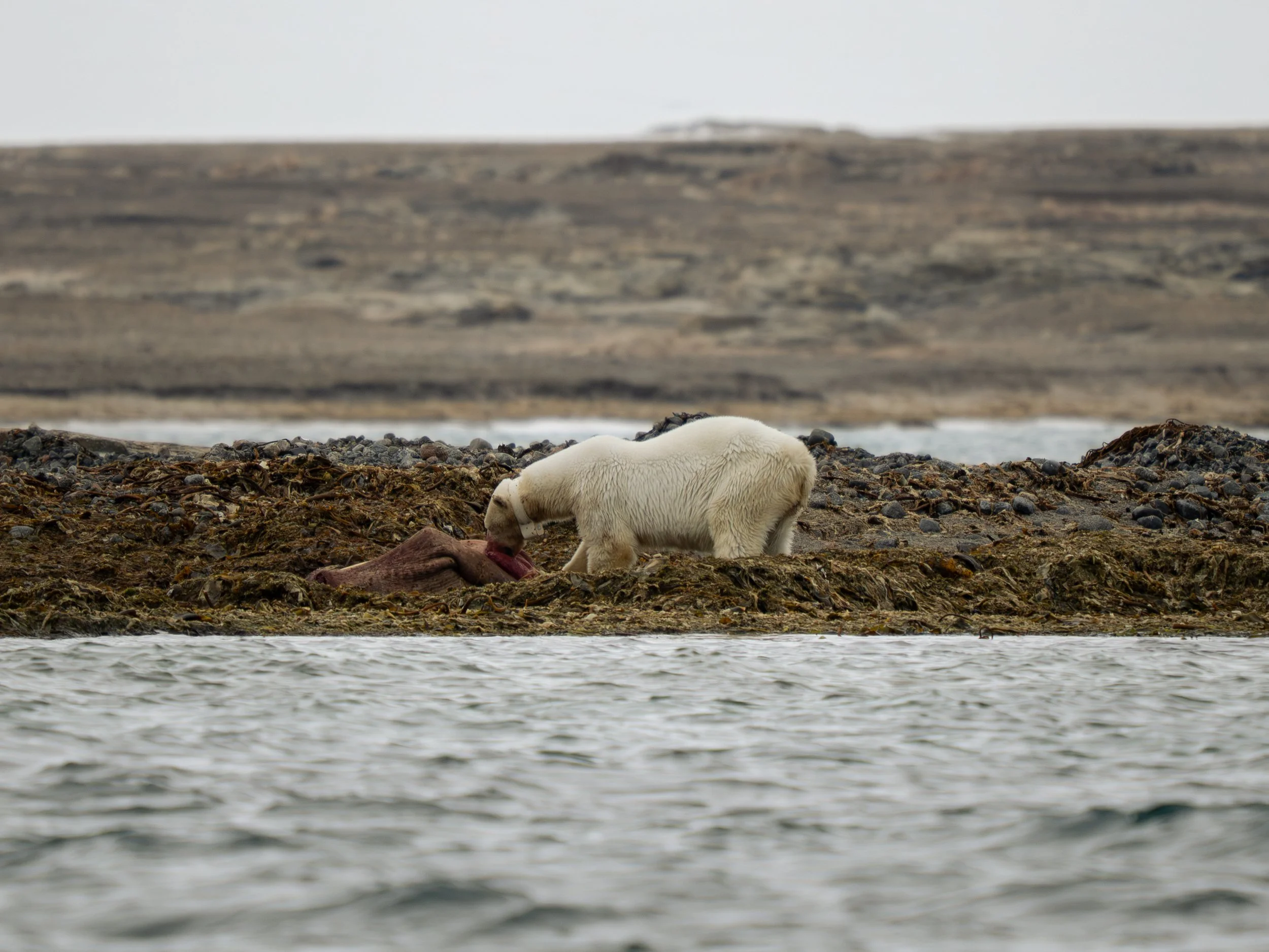 Geographic North Pole photography, North Pole photography, Arctic Ocean photography, Svalbard photography, Spitsbergen photography, Arctic Circle photography, 90 degrees North, polar expedition photography