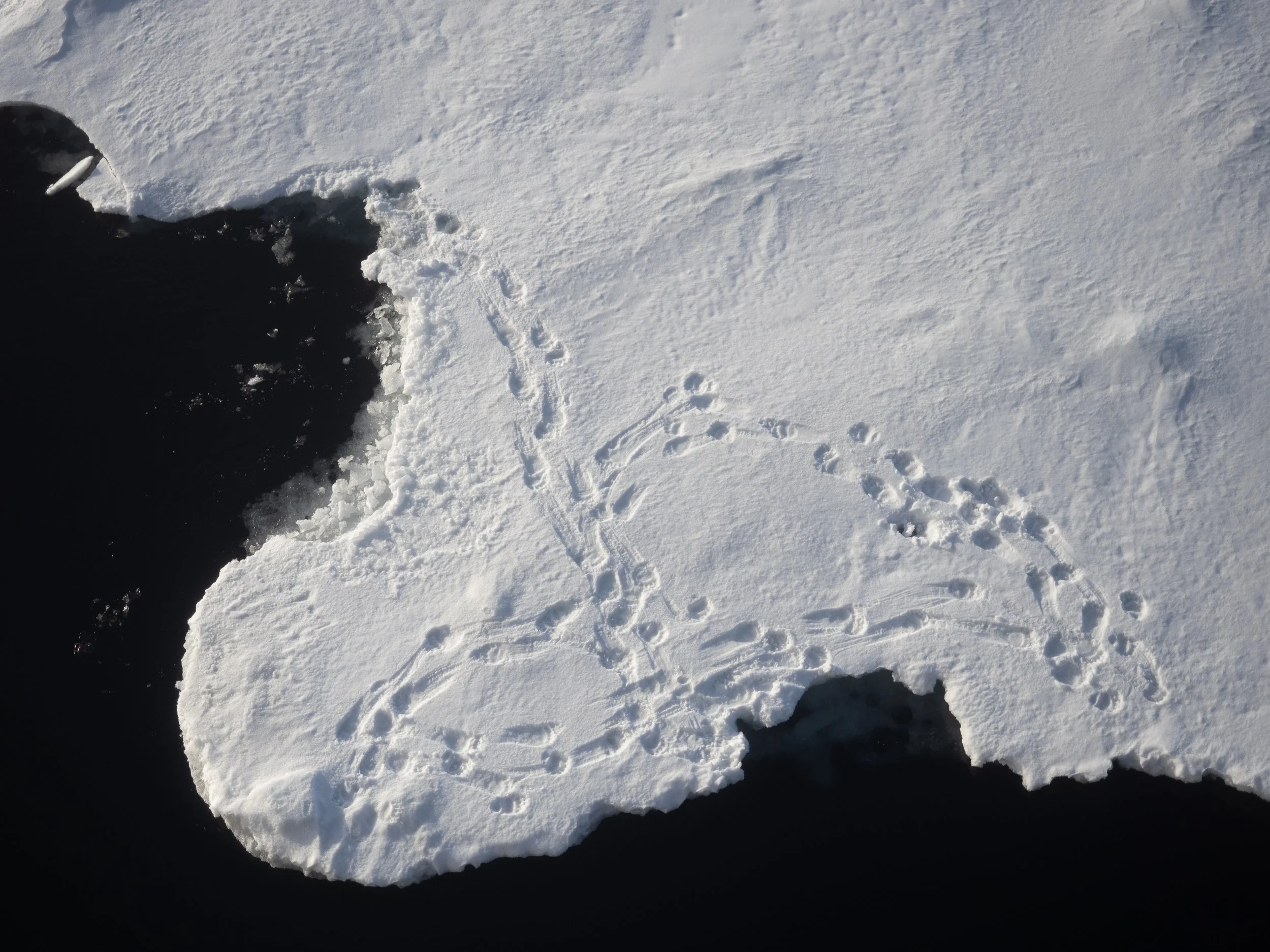 Geographic North Pole photography, North Pole photography, Arctic Ocean photography, Svalbard photography, Spitsbergen photography, Arctic Circle photography, 90 degrees North, polar expedition photography