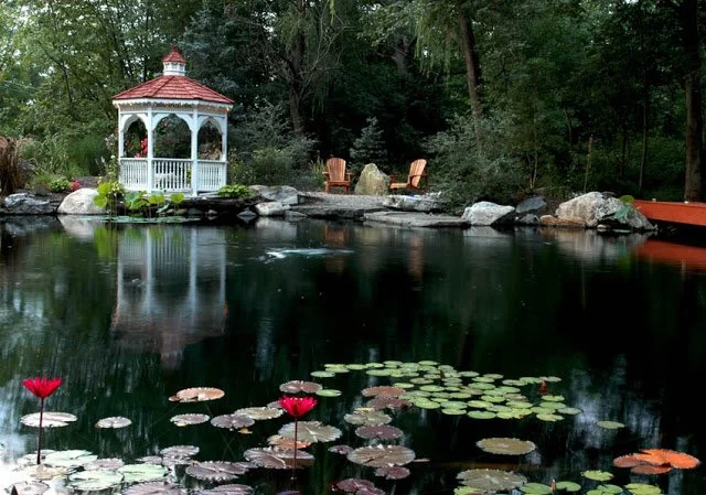 Large Pond