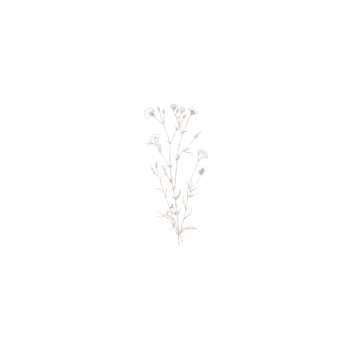 Massage and coaching certification seal with a central herb illustration
