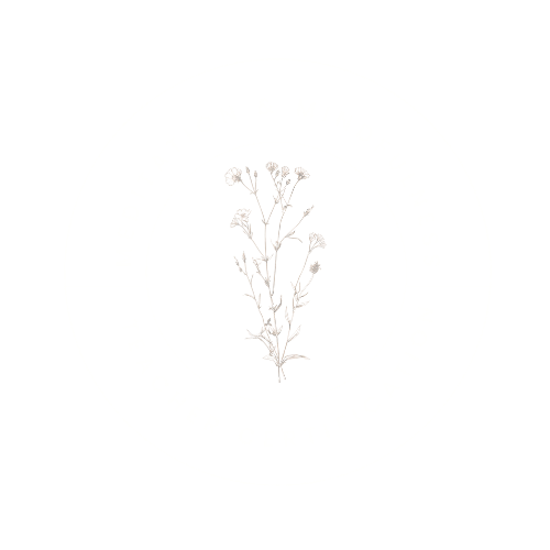 A circular logo with a plant illustration in the center, surrounded by the text "Meditation & Mindfulness Certification."