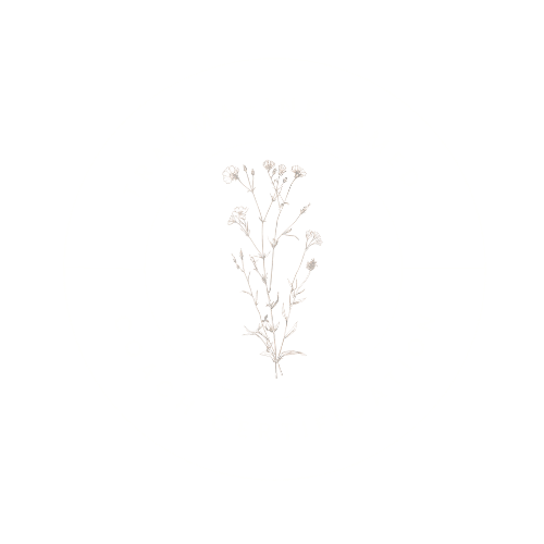 A black circular badge with white text reading 'Trauma-Informed Coach Certification' and a central illustration of a plant or flower.