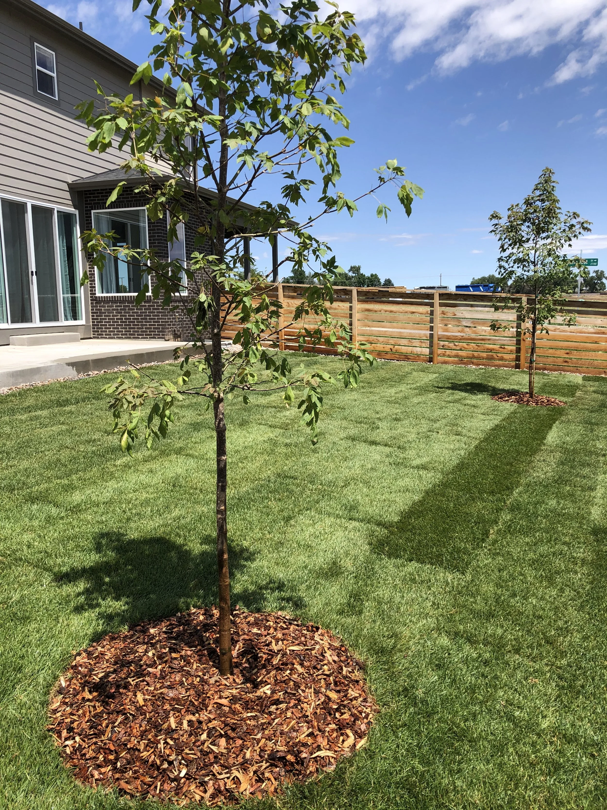 Landscape install.JPG