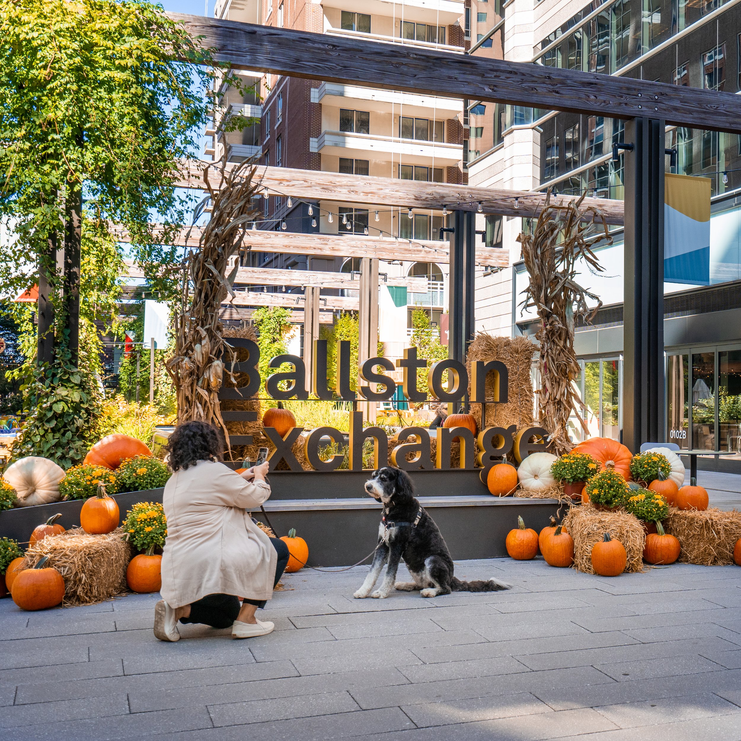 Ballston Exchange-20221020-16.jpg