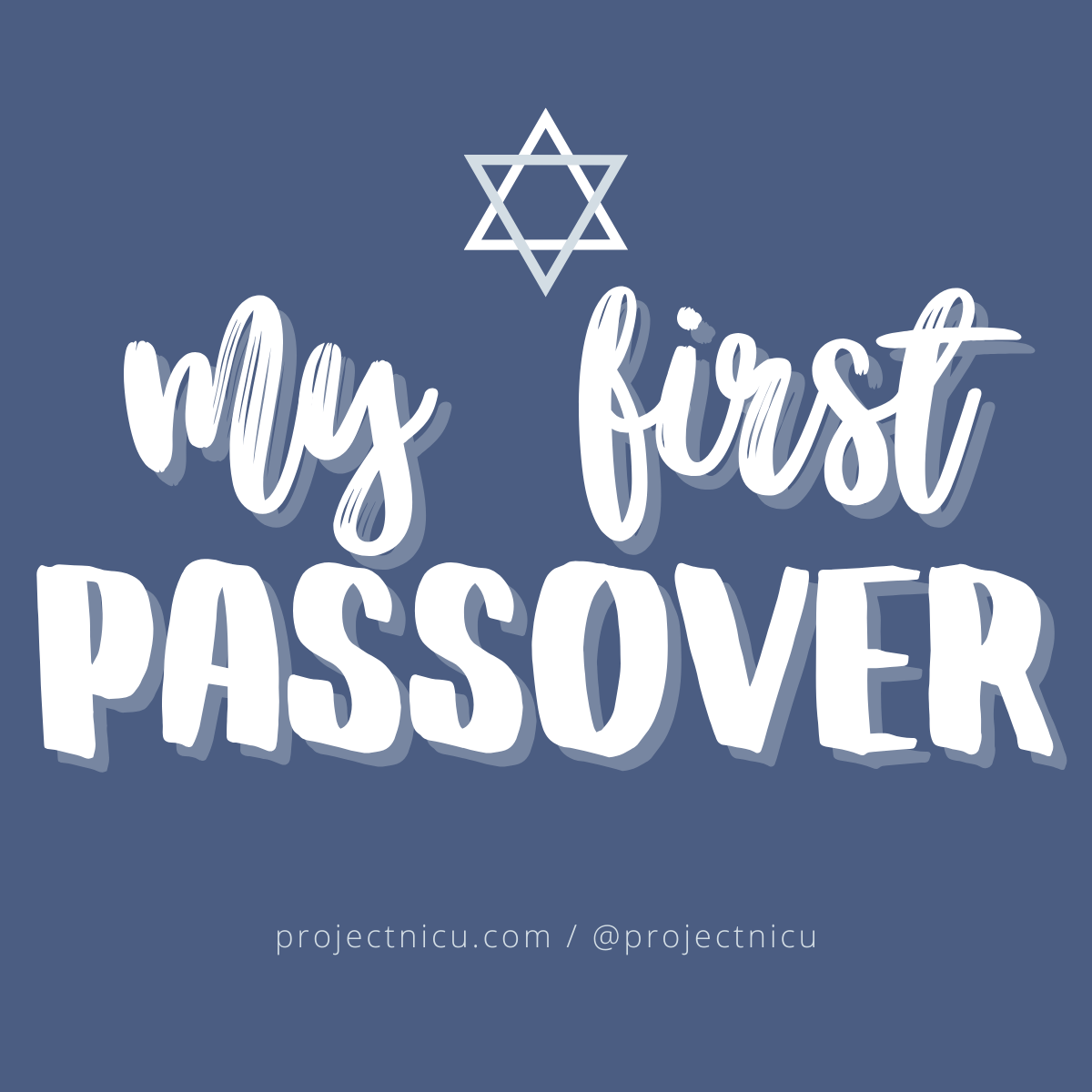 My First Passover.png