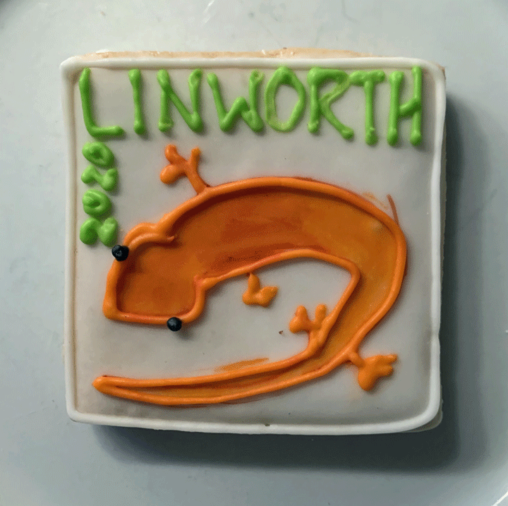 Linworth High School Graduation Cookies