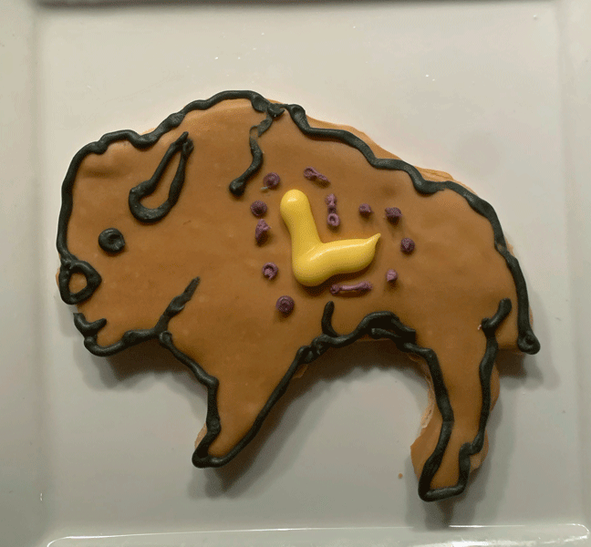 Lipscomb Bison Graduation Cookies