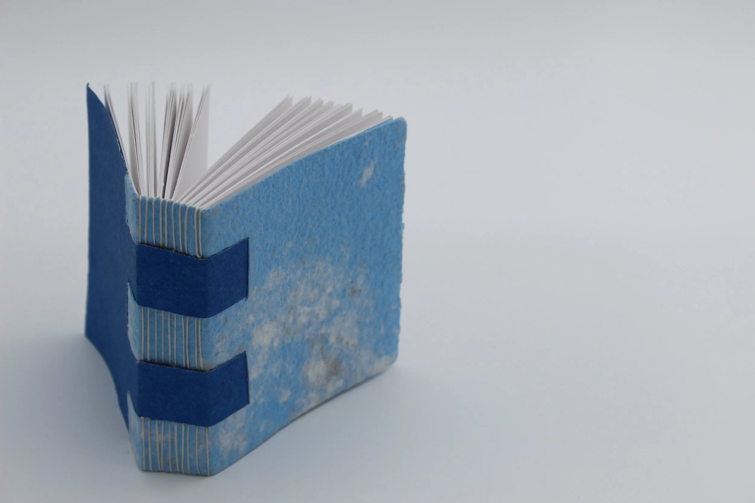 O_Malley_Cross Structure Binding 1.JPG