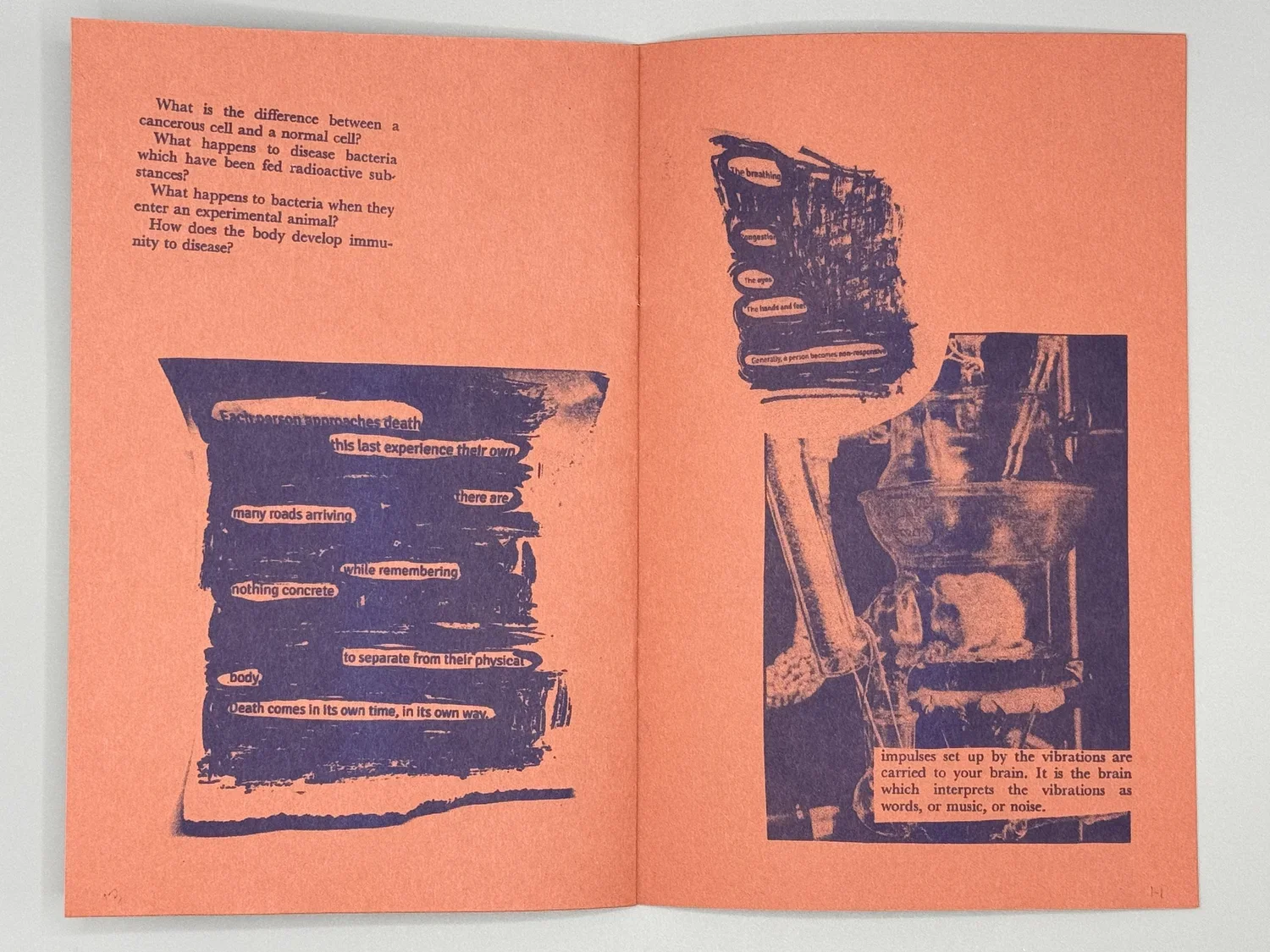 prior+to+death+zine_9241.webp