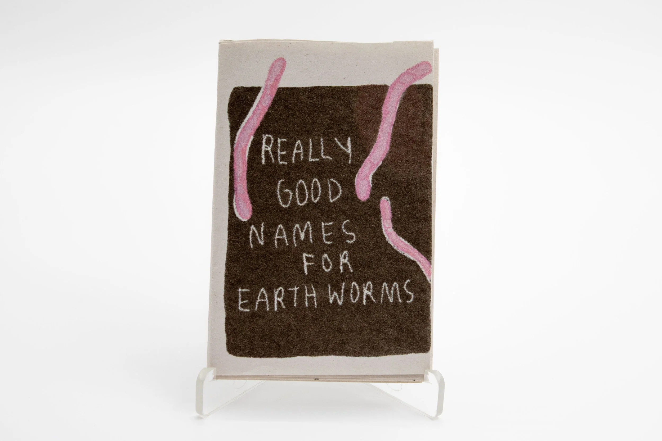 Really Good Names for Earthworms Zine by Koa Victorian
