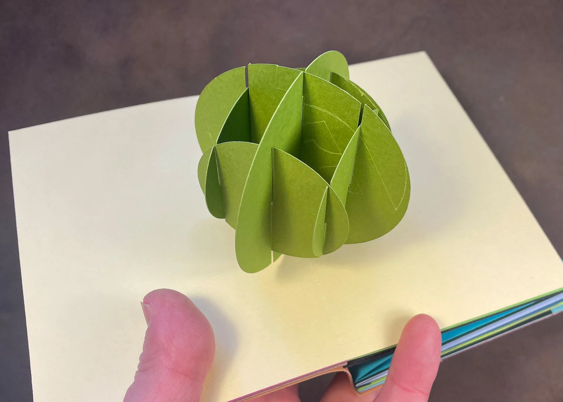 A Study in Sliceforms