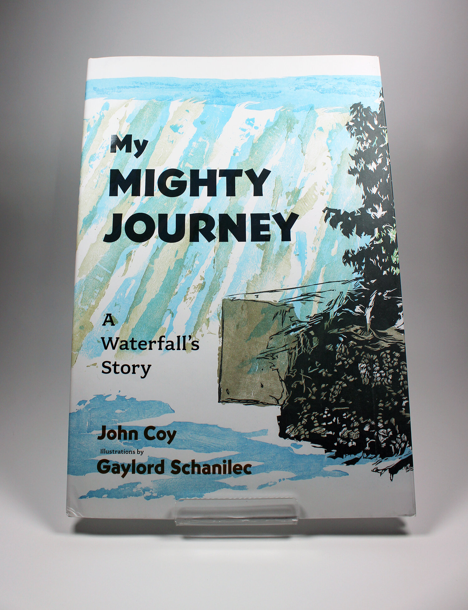 book of my journey
