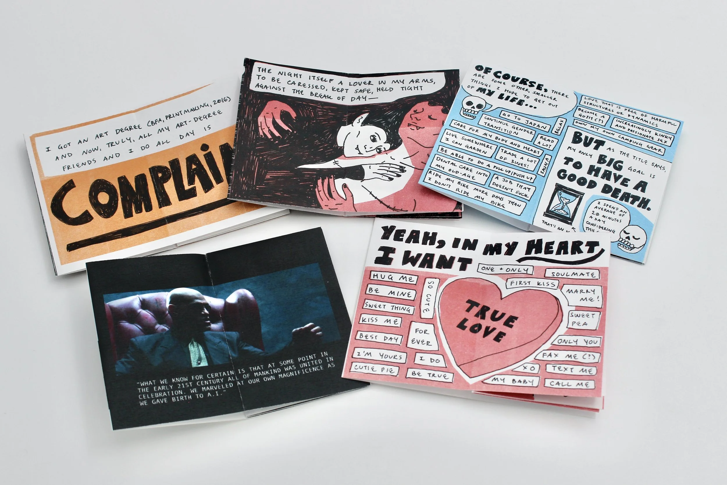 Mini Zines by Sarah Evenson — Minnesota Center for Book Arts