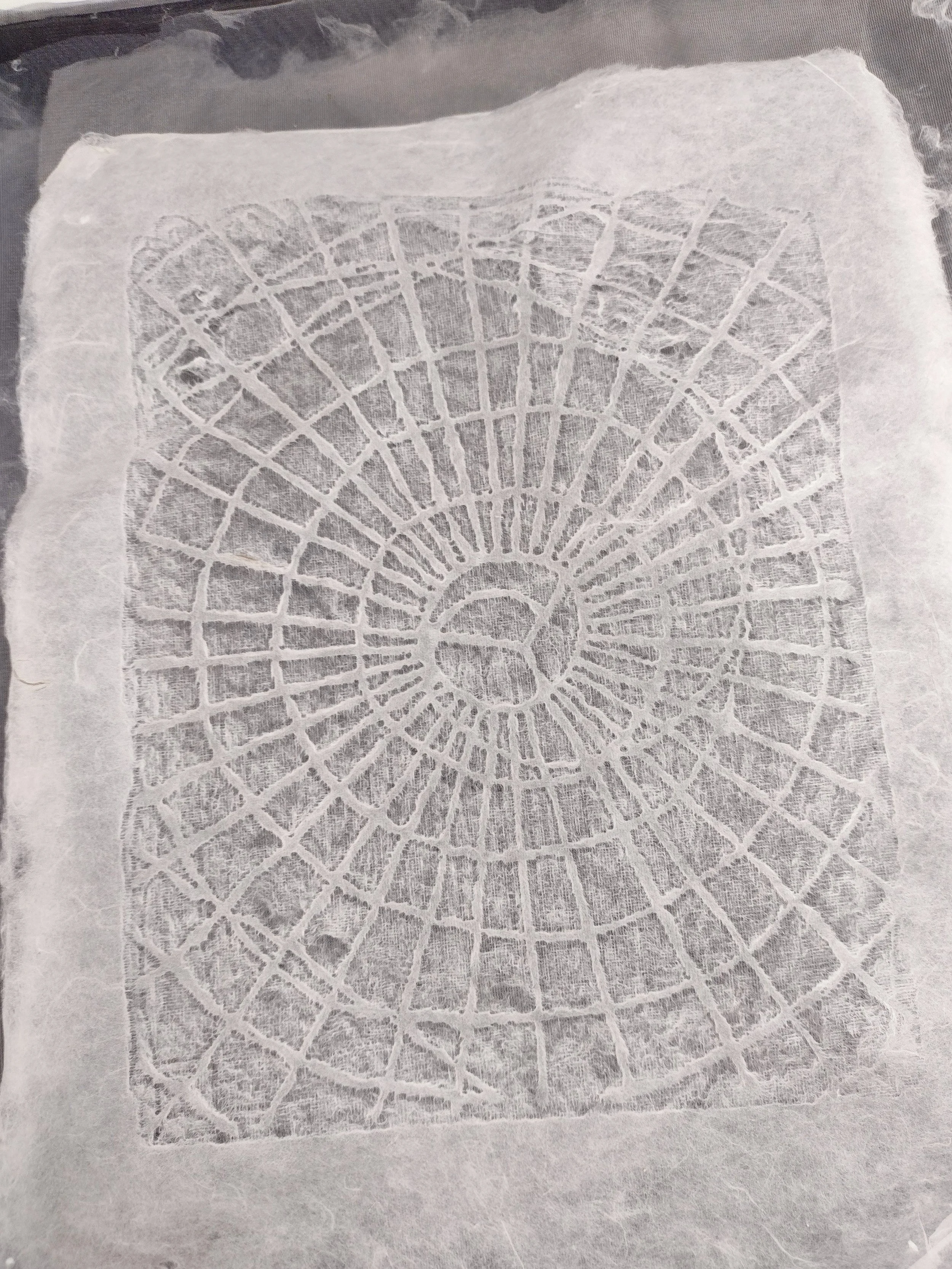Paper Fiber Images: Blow-Outs &amp; Pulp Painting