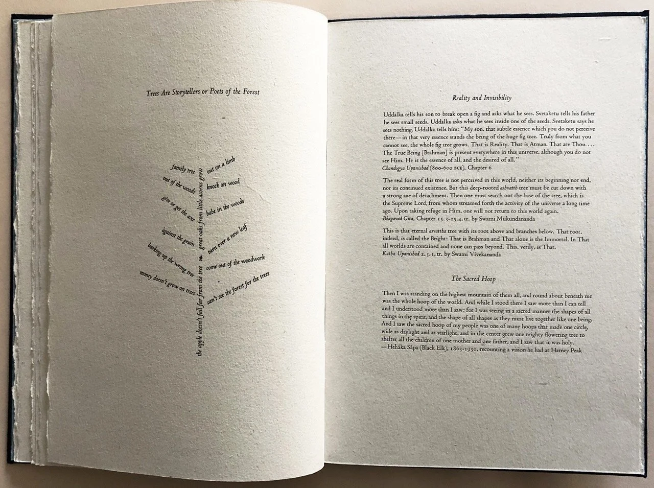 mcba-prize-2026-lisa-rappoport-tree-stories-1-resize.jpeg