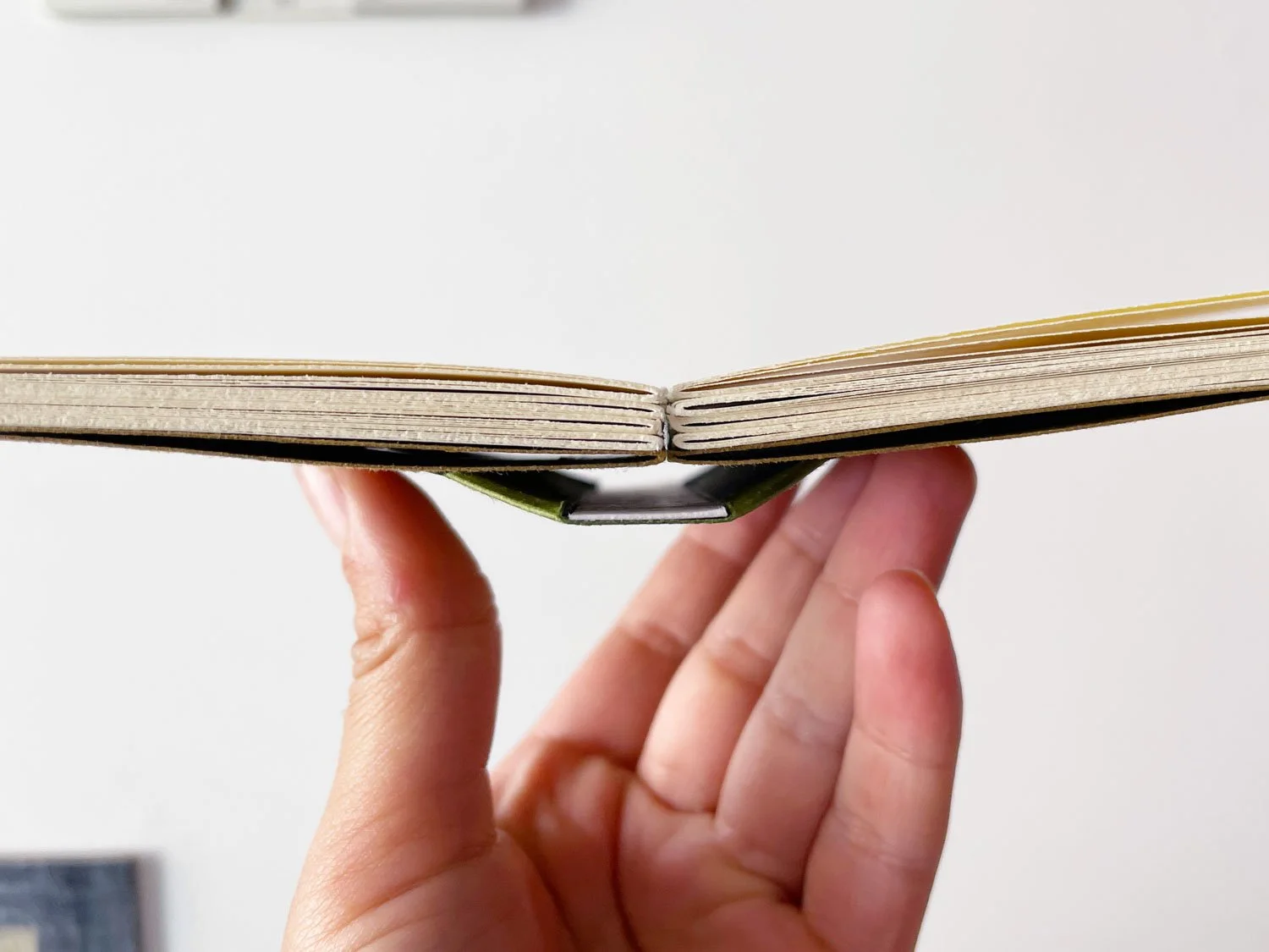 Mechanical Spine Binding