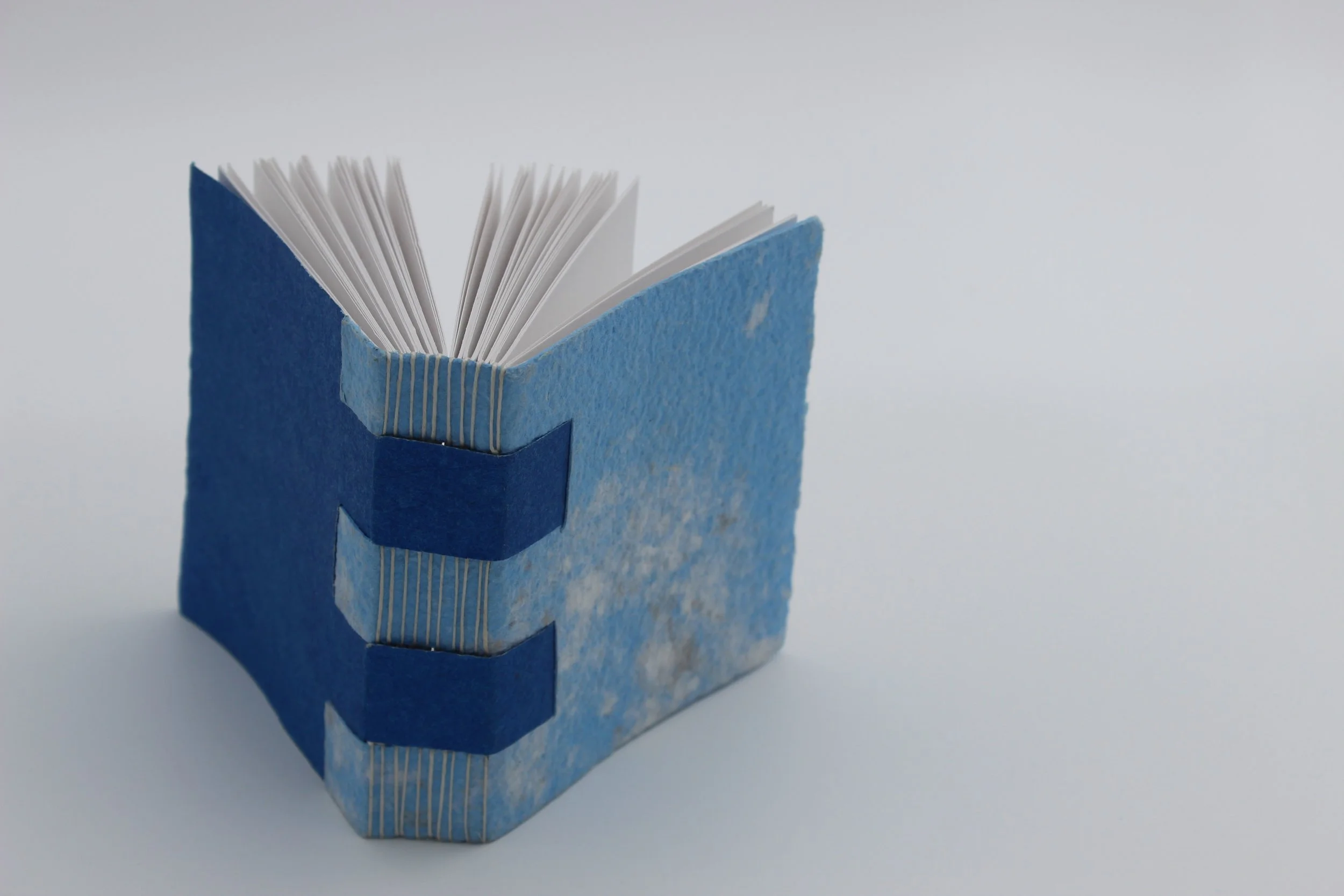 O_Malley_Cross Structure Binding 2.JPG