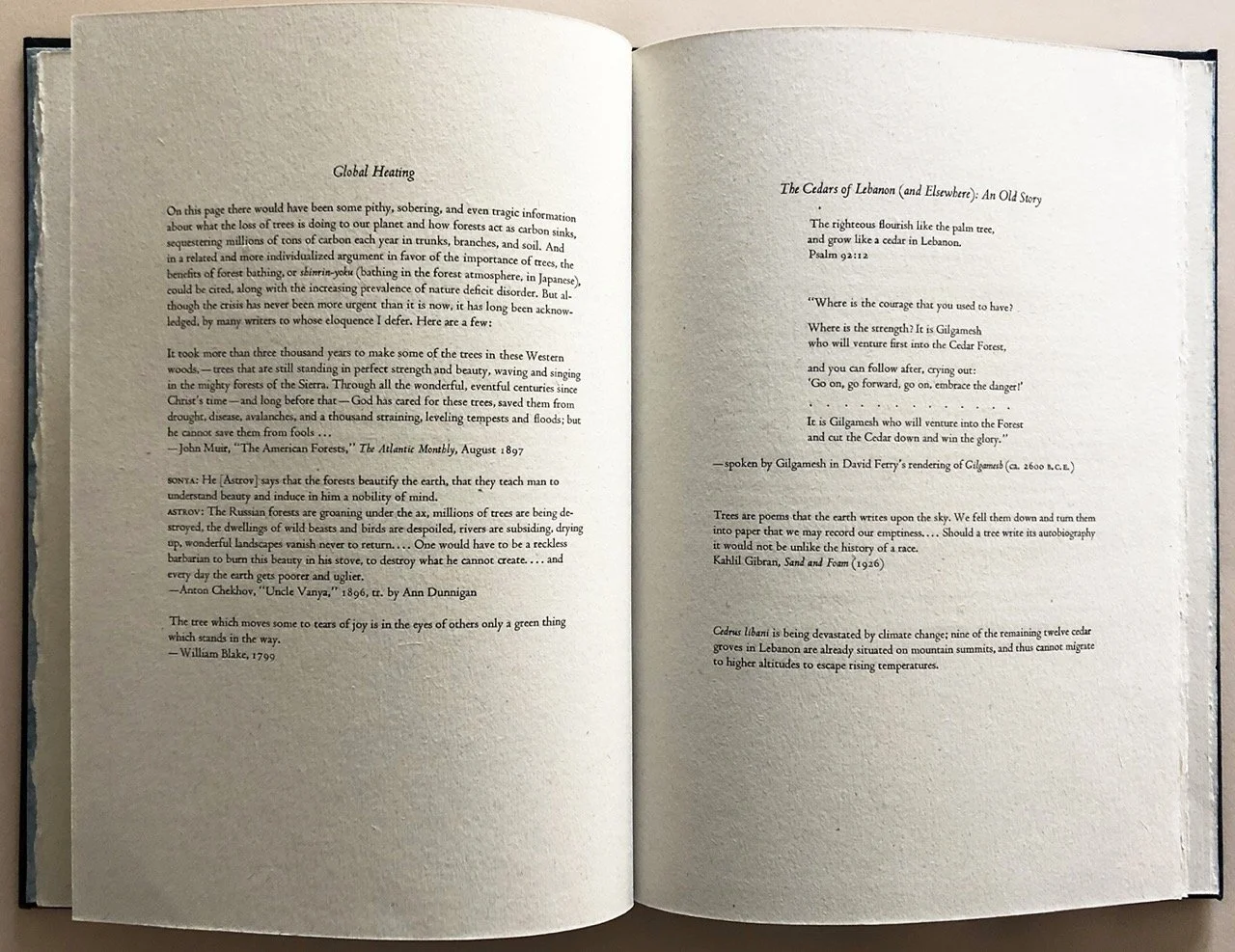 mcba-prize-2026-lisa-rappoport-tree-stories-5-resize.jpeg