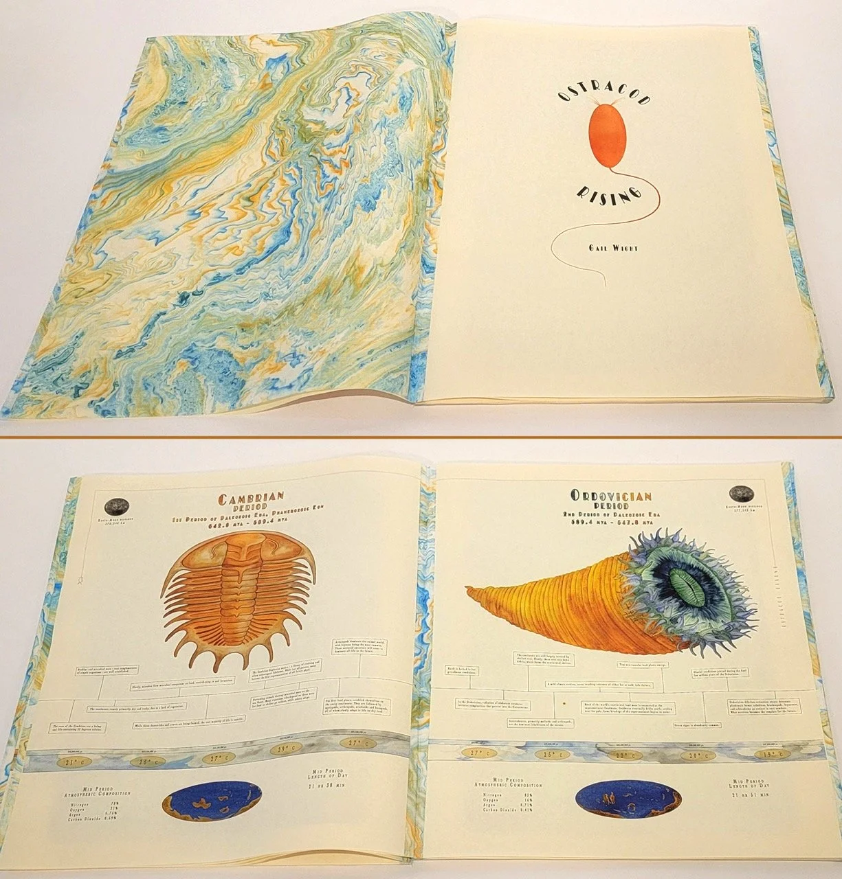 mcba-prize-2026-gail-wight-ostracod-rising-3-resize.jpeg