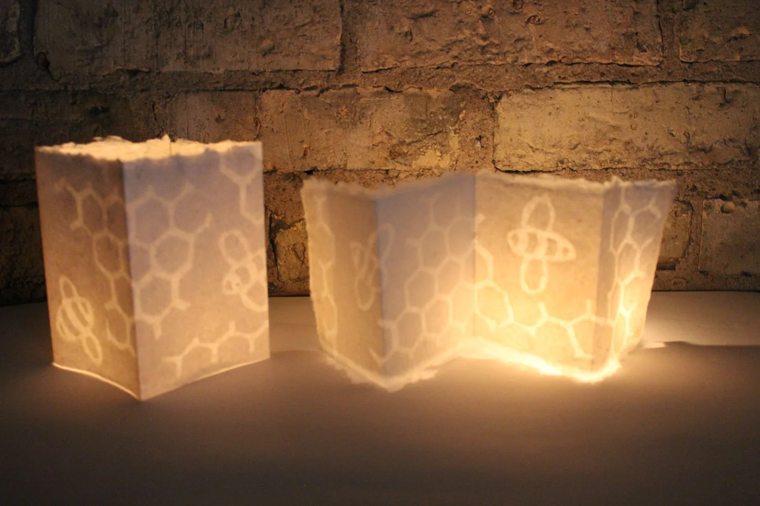 Luminaria: Winter Lanterns