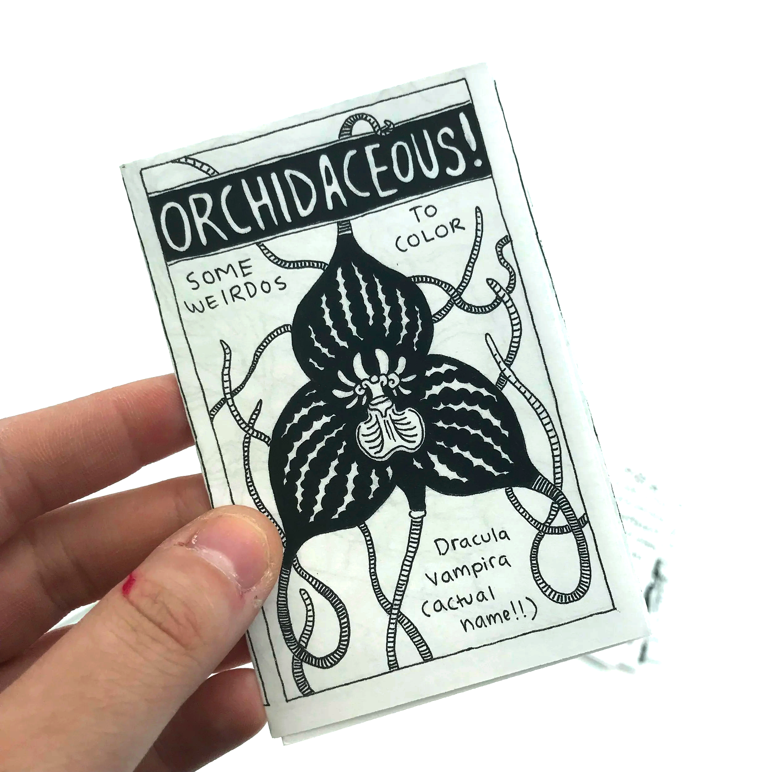 Orchidaceous.png