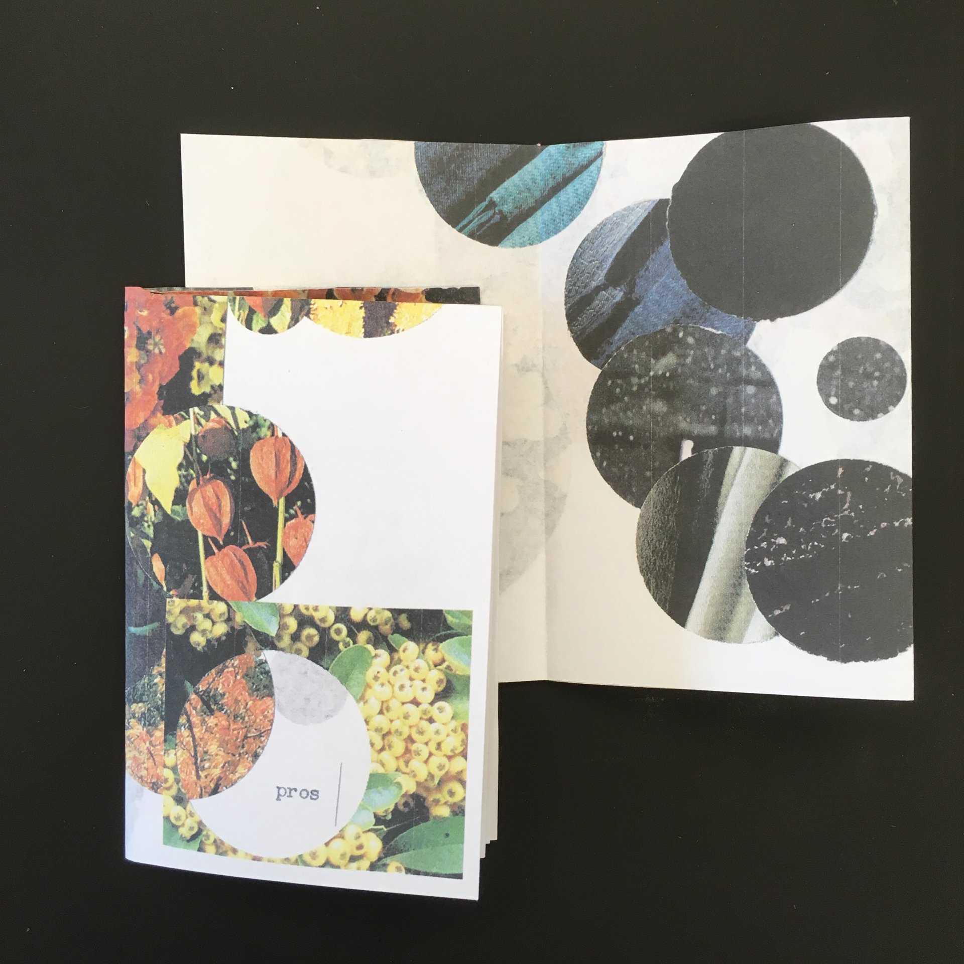 MCBA-wksp-AmicoInstantZines-08.2024-3.jpg