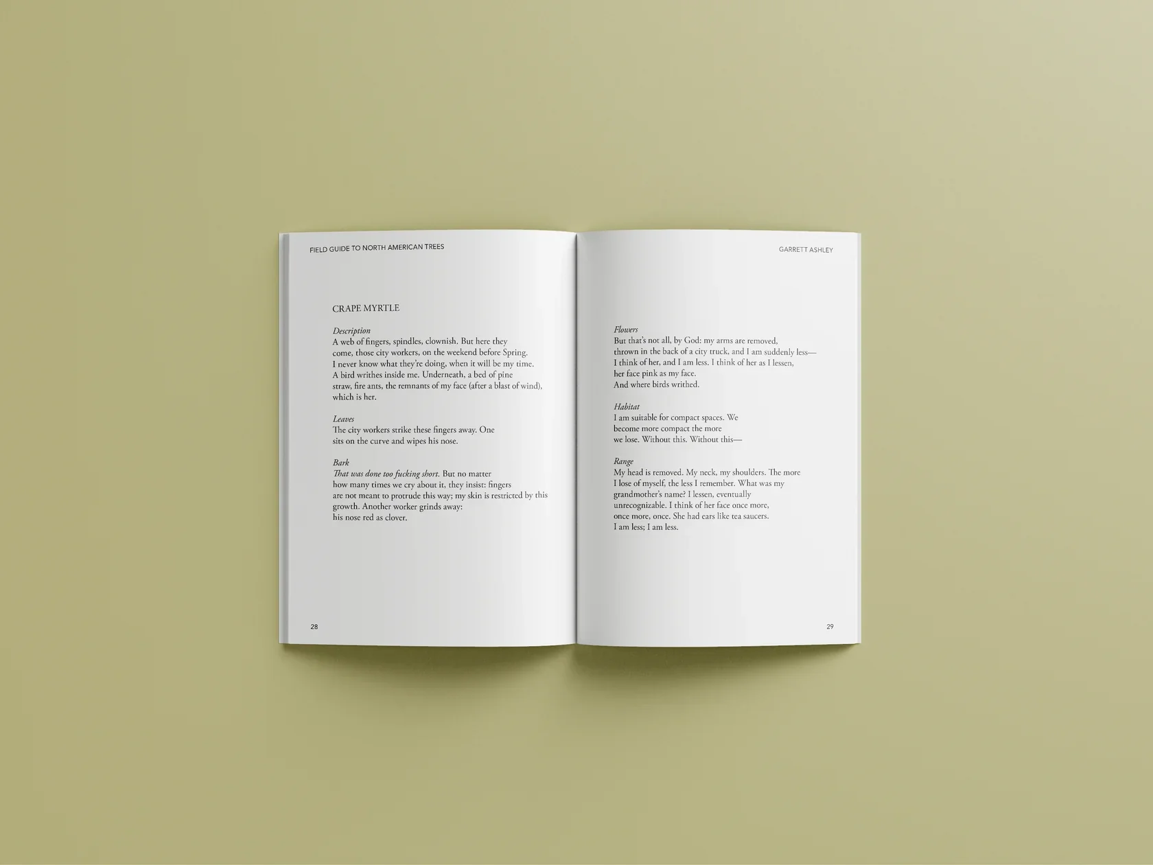 FG-Interior-Mockup.webp