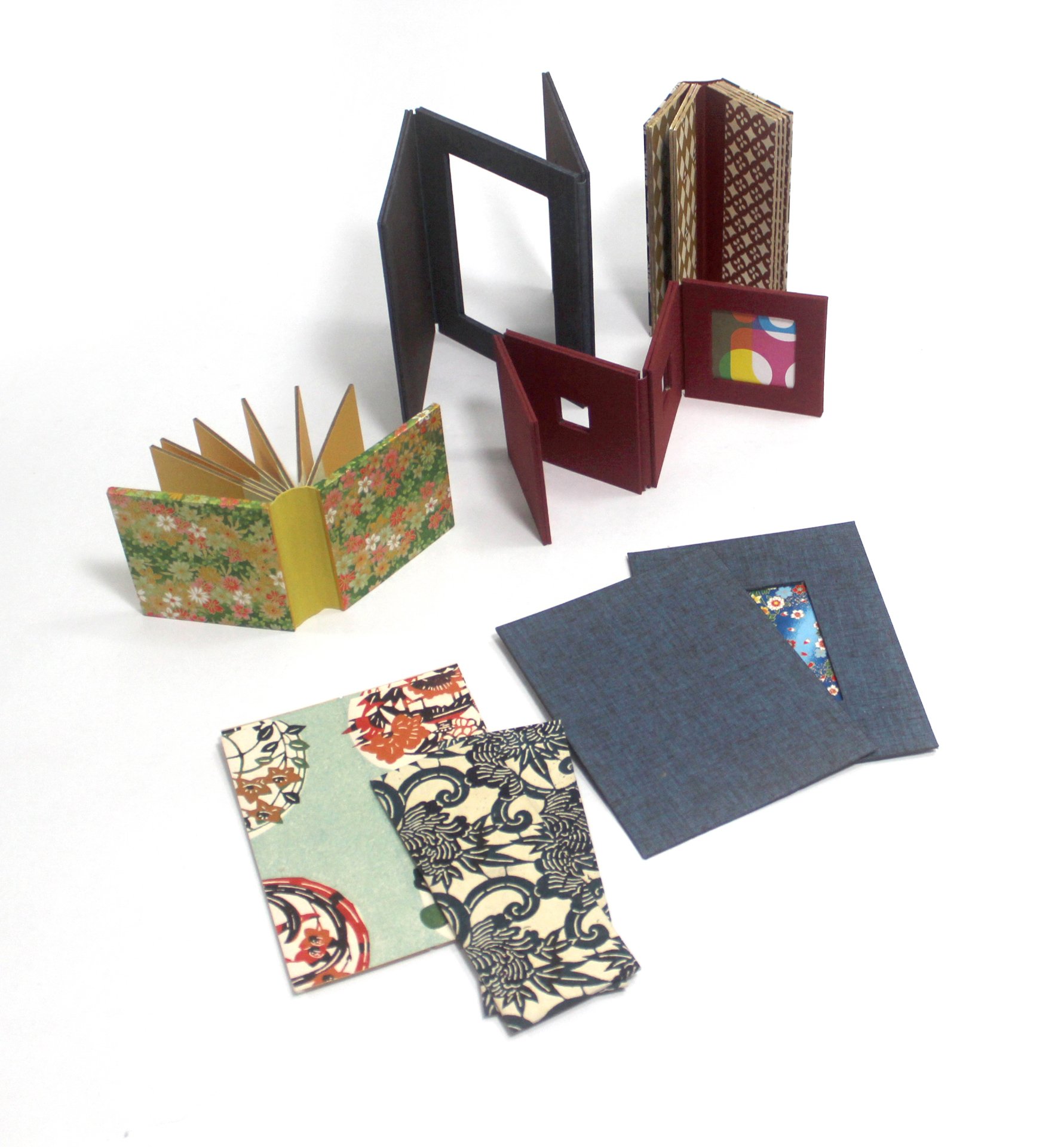 MCBA-wksp-AlyStiffLeafStructuresandVariations-4.30.2026-4.jpg