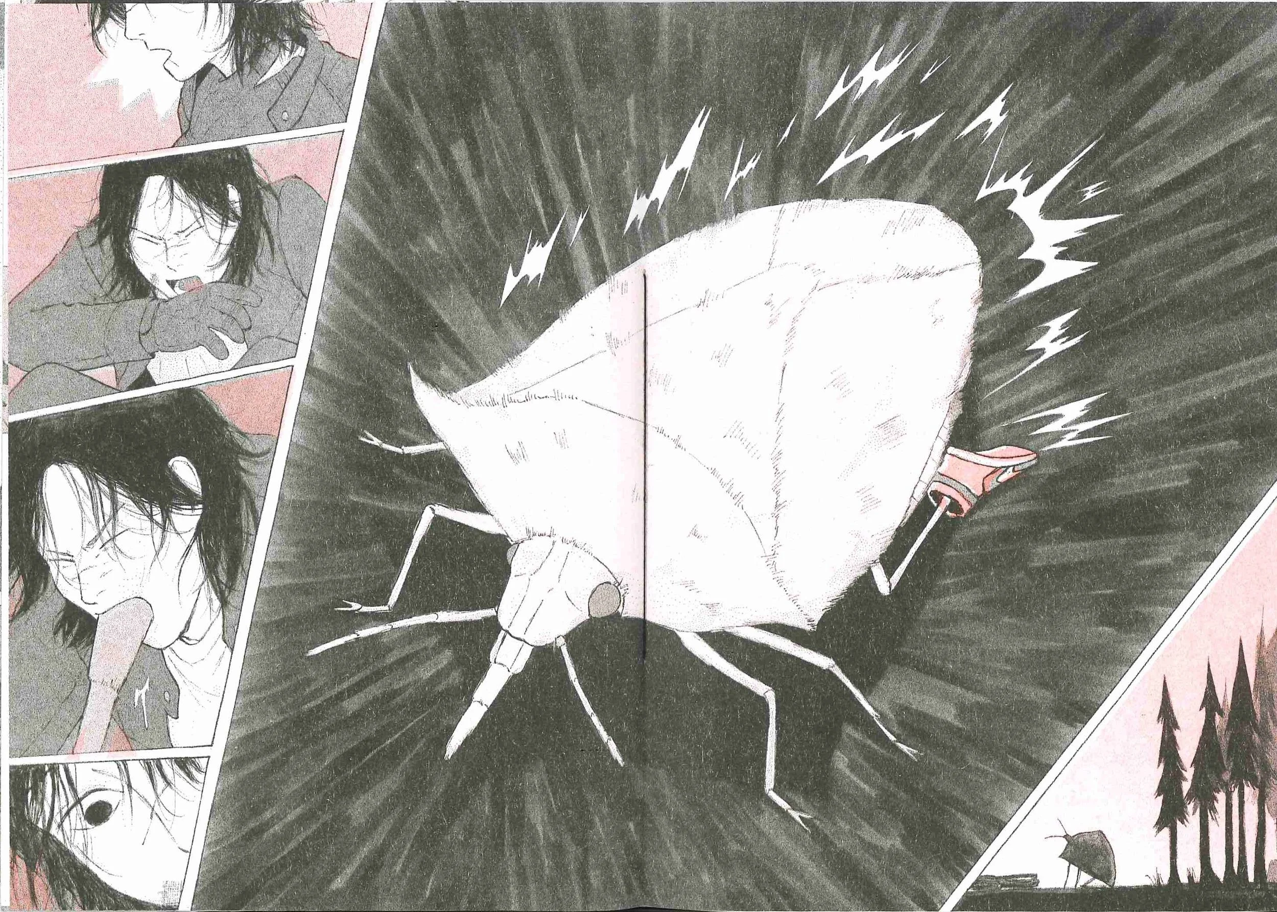 Hemelytra Photos for Website_Interior 2.jpg